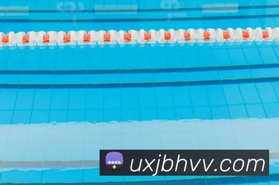 华体会手机网页版APP 封面图